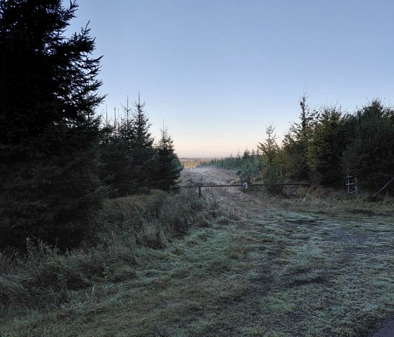 Das Hohe Venn- in der Nähe des Hotel gelegen Das Hohe Venn- in der Nähe des Hotel gelegen