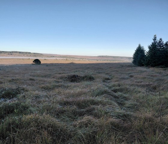 Das Hohe Venn- in der Nähe des Hotel gelegen Das Hohe Venn- in der Nähe des Hotel gelegen