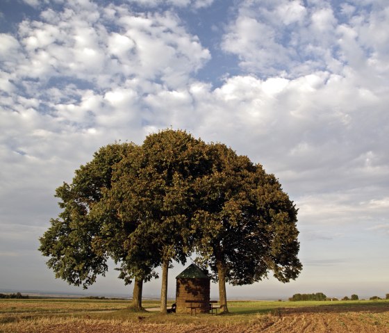 Klemensstock, © Ulrich Laube - Rureifel-Tourismus e.V. Klemensstock, © Ulrich Laube - Rureifel-Tourismus e.V.