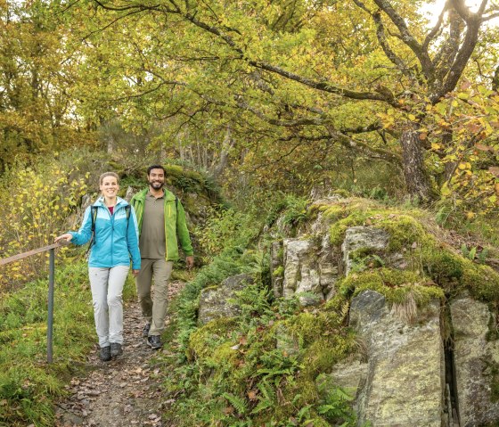 Wildnis-Trail Etappe 1, © Eifel Tourismus GmbH, Dominik Ketz Wildnis-Trail Etappe 1, © Eifel Tourismus GmbH, Dominik Ketz