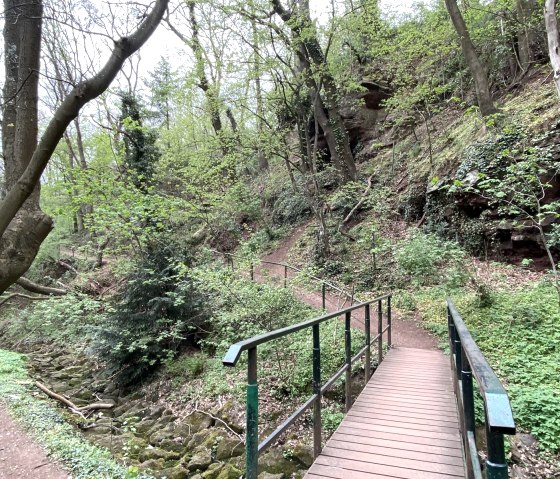 Buntsandsteinroute bei Nideggen, © Kerstin Wielspütz Buntsandsteinroute bei Nideggen, © Kerstin Wielspütz