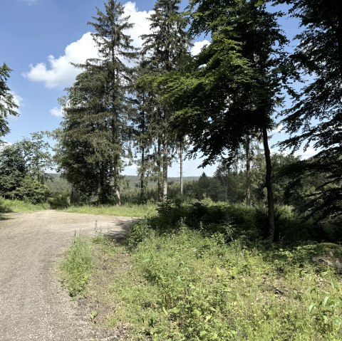 IMG_6642, © Rureifel-Tourismus e.V., Dennis Winands IMG_6642, © Rureifel-Tourismus e.V., Dennis Winands