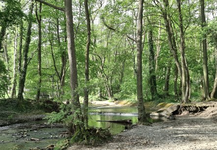 Entlang der Kall, © Rureifel-Tourismus e.V. Entlang der Kall, © Rureifel-Tourismus e.V.