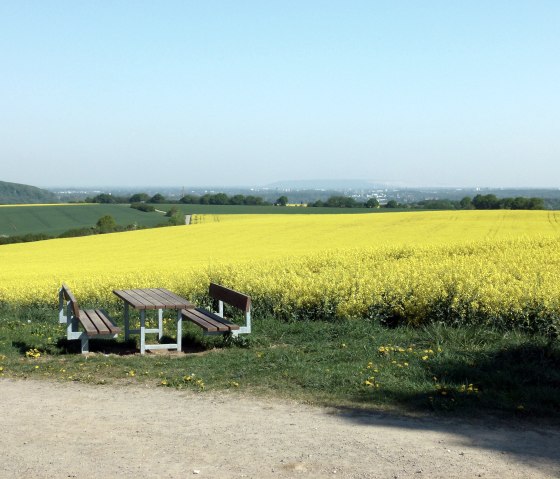 Weg durch die blühende Weide, © Rureifel-Tourismus e.V. Weg durch die blühende Weide, © Rureifel-Tourismus e.V.