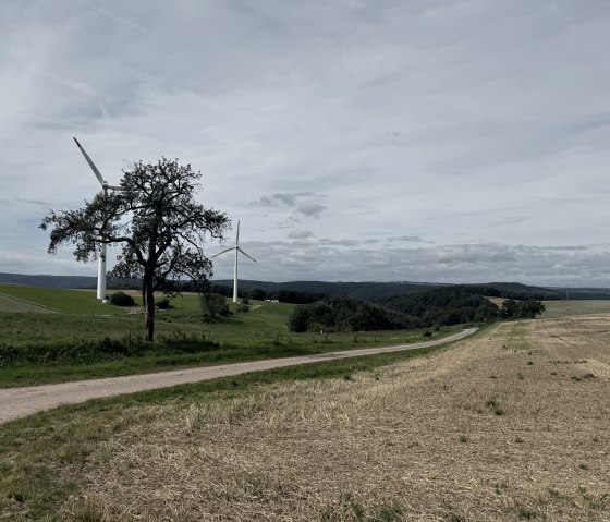 IMG_7760, © Rureifel-Tourismus e.V., Dennis Winands IMG_7760, © Rureifel-Tourismus e.V., Dennis Winands