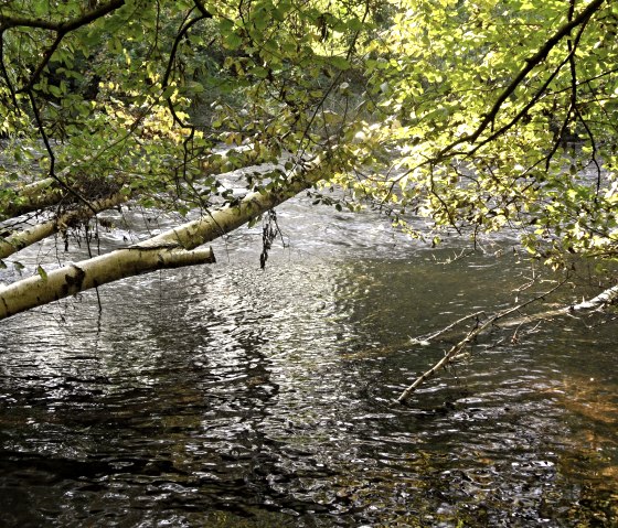 La Roer passe aussi par là, © Karl-Heinz Rosenzweig, Der-eifelyeti.de, © Der-eifelyeti.de La Roer passe aussi par là, © Karl-Heinz Rosenzweig, Der-eifelyeti.de, © Der-eifelyeti.de