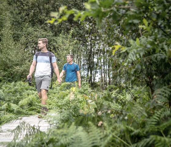 Bodenlehrpfad Todtenbruch, © Kreis Düren, Dennis Stratmann Bodenlehrpfad Todtenbruch, © Kreis Düren, Dennis Stratmann