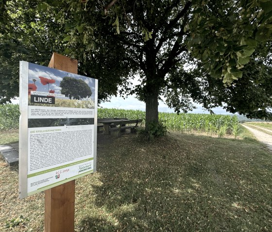 Informationstafel, © Rureifel-Tourismus e.V., Dennis Winands Informationstafel, © Rureifel-Tourismus e.V., Dennis Winands