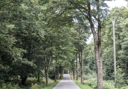 Ruhiger Abschnitt, © some.oner Ruhiger Abschnitt, © some.oner