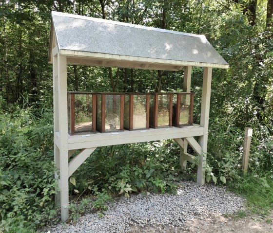 Naturerlebnispfad Sophienhöhe, © Sophia Eckerle | Kreis Düren Naturerlebnispfad Sophienhöhe, © Sophia Eckerle | Kreis Düren