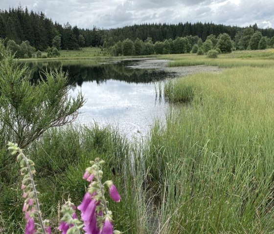 WhatsApp Image 2021-07-11 at 22.42.36 (11) WhatsApp Image 2021-07-11 at 22.42.36 (11)