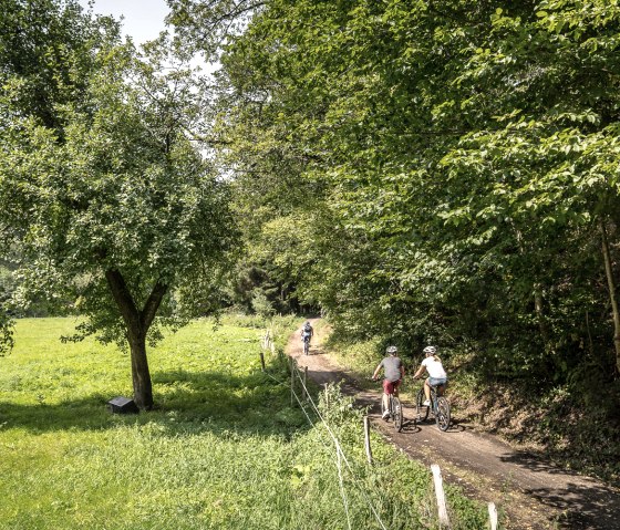 Familie auf dem RurUfer-Radweg, © Dennis Stratmann | Grünmetropole e.V. Familie auf dem RurUfer-Radweg, © Dennis Stratmann | Grünmetropole e.V.