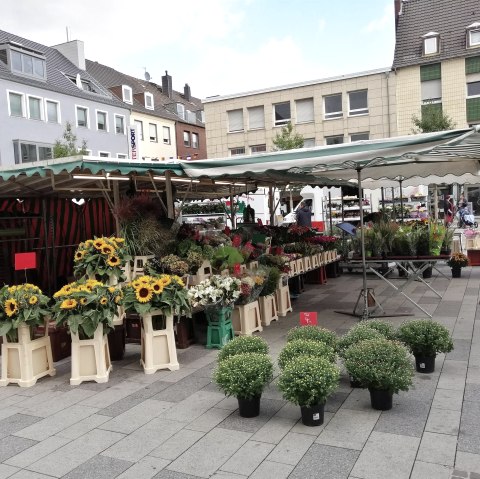Dürener Wochenmarkt Blumenstand, © Win.dn GmbH Dürener Wochenmarkt Blumenstand, © Win.dn GmbH