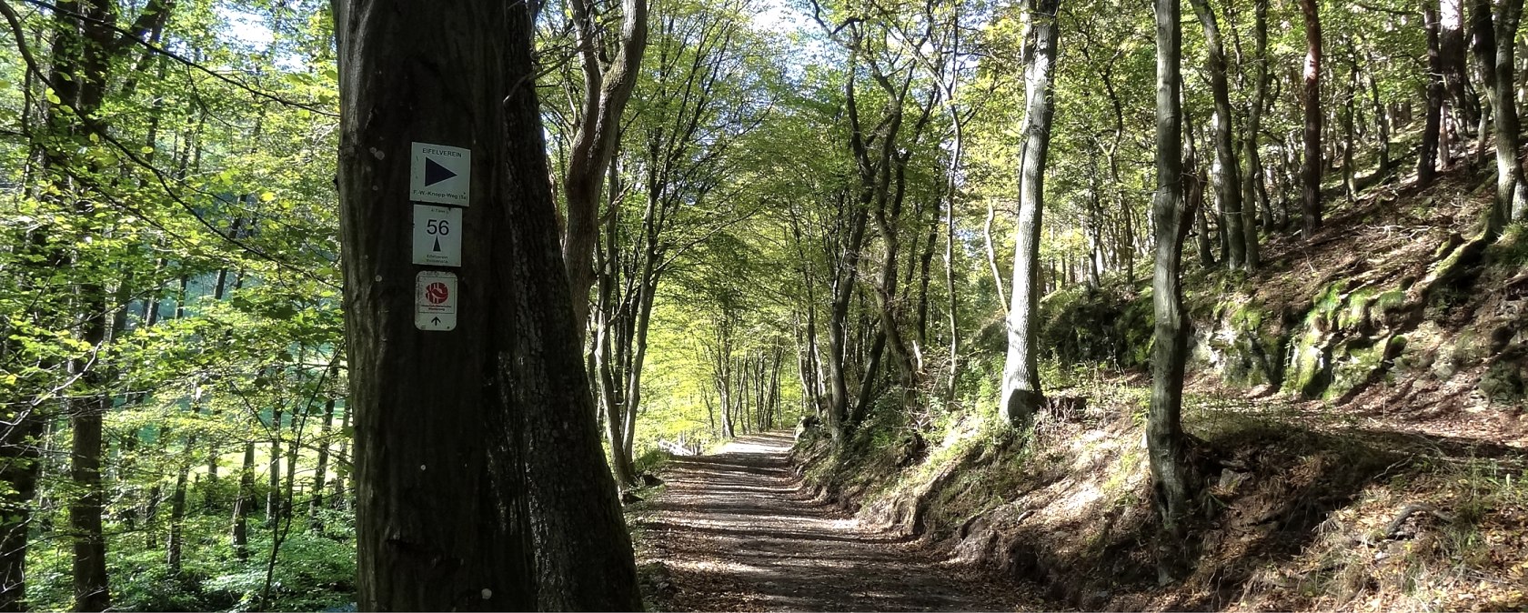 Wegst&uuml;ck mit Wald und Beschilderung, &copy; Der Eifelyeti.de