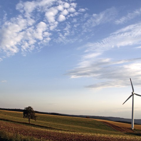 Blick in die B&ouml;rde rund um Nideggen, &copy; Ulrich Laube - Rureifel-Tourismus e.V.