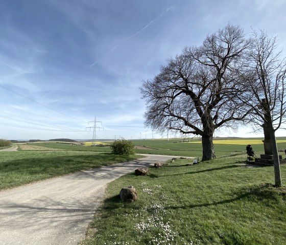 Vue sur la B&ouml;rde Vlatten