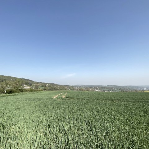 B&ouml;rdelandschaft mit weitem Blick, &copy; Rureifel-Tourimus e.V.
