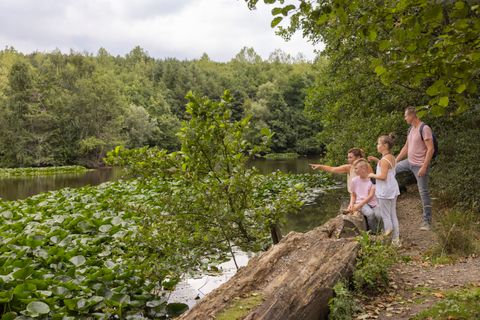 Naturerlebnispfad Haselmaus Sophie auf der Sophienhöhe im indeland
