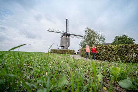 Zwei Wandererinnen auf dem Feld vor der Düppelsmühle in Titz. Die Düppelsmühle ist eine stillgelegte Bockwindmühle