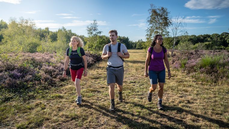 Wandern in der Drover Heide