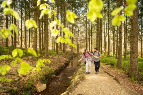 Zwei Wanderer gehen auf einem Pfad entlang einem kleinen Bach in einem Wald. Der Himmel ist klar und es gibt viele Bäume rundherum.
