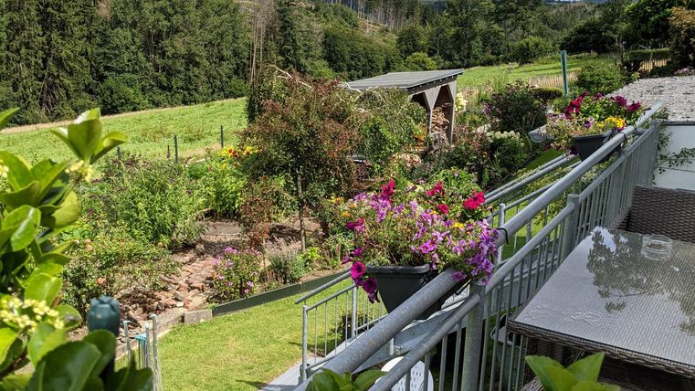 Ein schöner Garten mit bunten Blumen und grünen Wiesen. Im Hintergrund sind Bäume und Hügel zu sehen.
