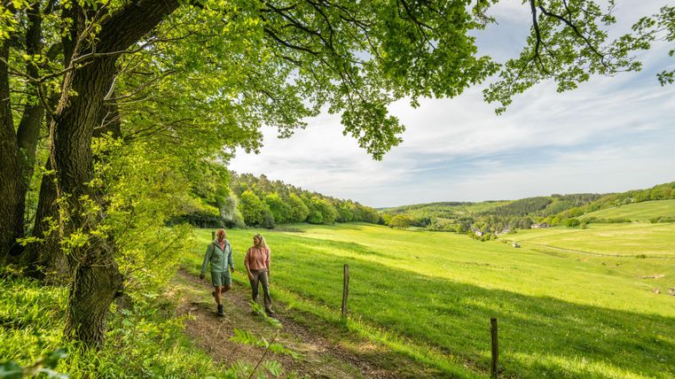 Zwei Personen gehen auf einem gepflegten Weg durch eine grüne Landschaft. Bäume und sanfte Hügel bilden eine idyllische Umgebung.
