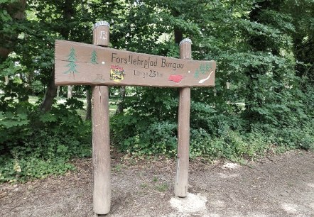 Forstlehrpfad im Wald von Schloss Burgau, &copy; Sophia Eckerle