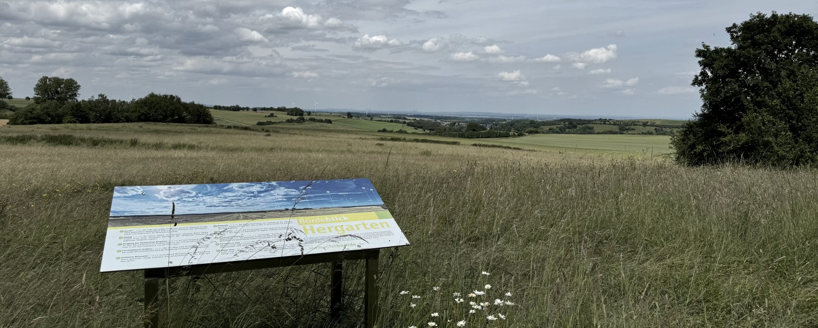 B&ouml;rdeblick, &copy; Rureifel-Tourismus e.V., Dennis Winands