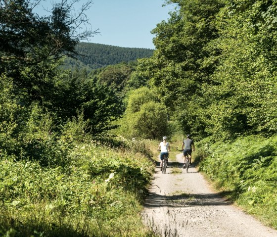 Reizen over het RurUfer fietspad, &copy; St&auml;dteRegion Aachen