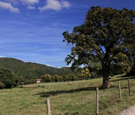 Uitzicht over velden en weiden