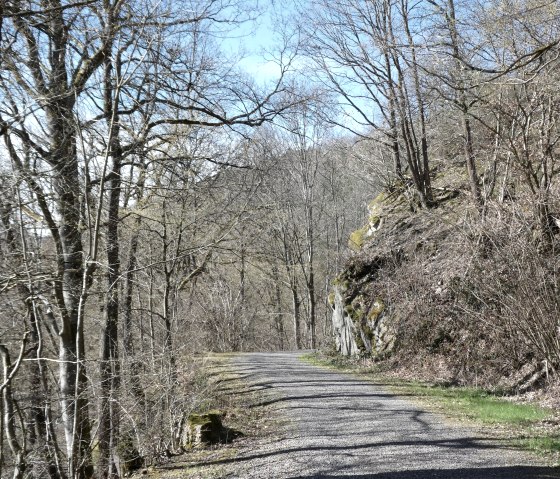 Wanderweg, &copy; Eifel heimisch