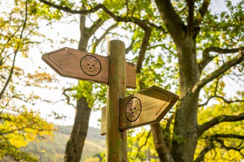 Ein Wegweiser aus Holz mit zwei Pfeilen zeigt in verschiedene Richtungen. Die Bäume im Hintergrund sind grün und es scheint eine sonnige Tageszeit zu sein.