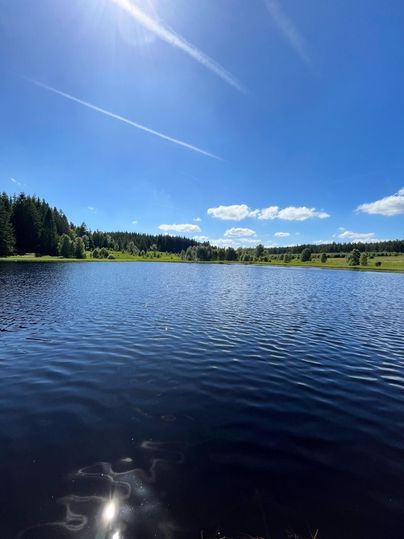 Ein ruhiger See unter einem klaren blauen Himmel. Umgeben von grünen Bäumen und Wiesen.
