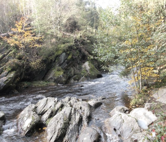 Natur, &copy; Eifel heimisch