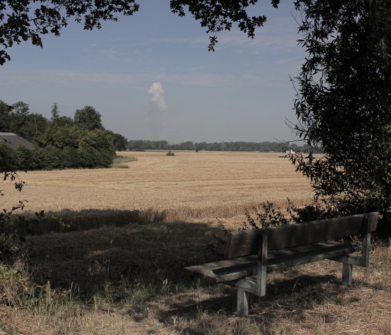Vue sur le champ de bl&eacute;, &copy; Rureifel-Tourismus e.V.