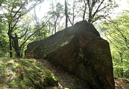 H&uuml;bsche Begleiter entlang des Wegesrandes, &copy; Karl-Heinz Rosenzweig, Der-eifelyeti.de, &copy; Der-eifelyeti.de