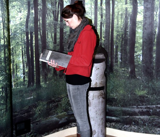 Tentoonstelling in de Heimbach Nationaal Park poort, &copy; Priske