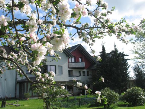 Ein schönes Haus umgeben von blühenden Bäumen und einem grünen Garten. Der Himmel ist klar und die Atmosphäre ist freundlich.