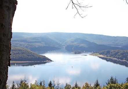 Blick von der Steilk&uuml;ste auf den Rursee