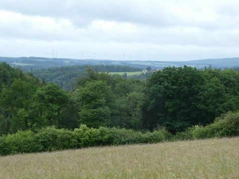 Eine grüne Landschaft mit Bäumen und sanften Hügeln. Der Himmel ist bewölkt und die Weite des Feldes ist zu sehen.