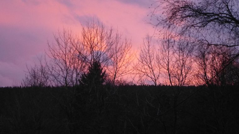 Ein wunderschöner Sonnenuntergang mit lila und pinken Farben am Himmel. Silhouetten von Bäumen sind im Vordergrund zu sehen.