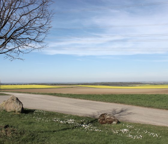 Le paysage de la B&ouml;rdel &agrave; Vlatten