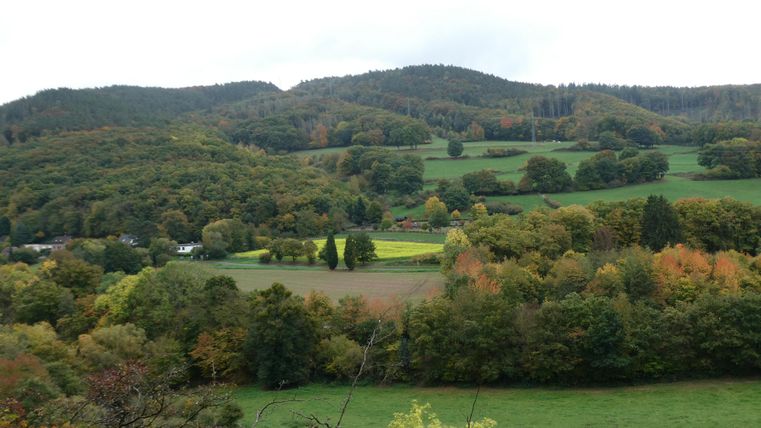 Eine malerische Landschaft mit sanften Hügeln und bunten Wäldern. Die grünen Felder und Bäume zeigen die Schönheit der Natur.