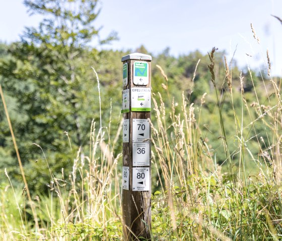 ET-2022-036-H&uuml;rtgendwald-Felssattel-@Eifel Tourismus GmbH, A-R&ouml;ser-shapefruit-AG, &copy; Eifel Tourismus GmbH, A. R&ouml;ser - shapefruit AG