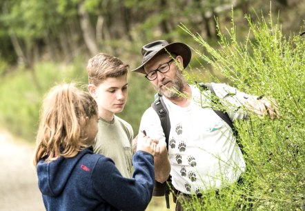 Familientour mit Waldf&uuml;hrer