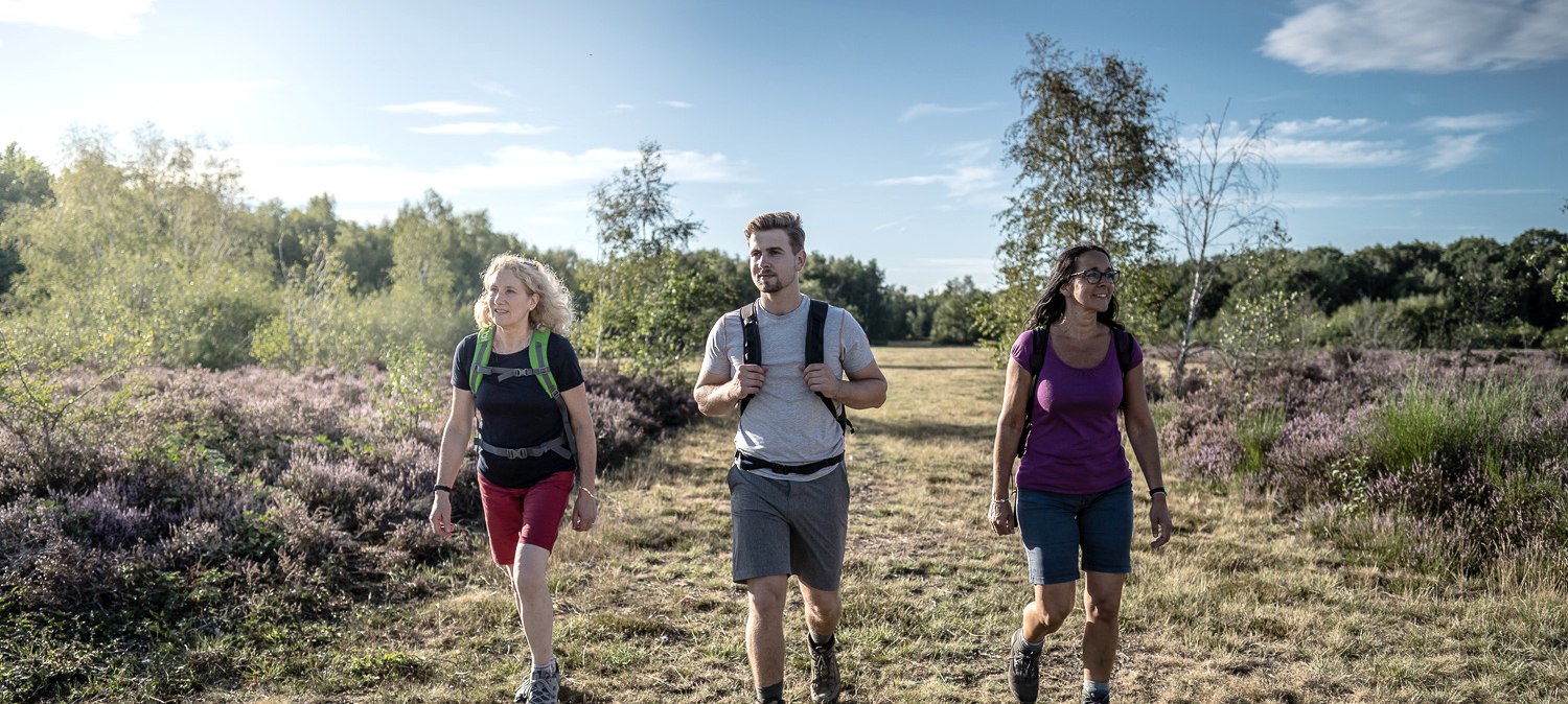 Droverheide, &copy; Dennis Stratmann | Kreis D&uuml;ren