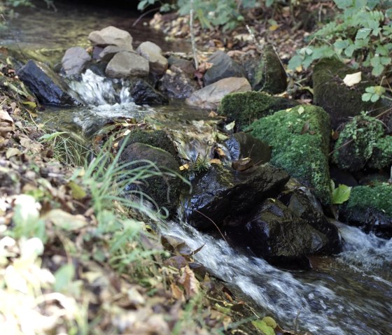 Ruisseau bruyant