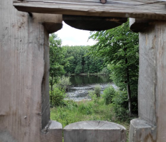 IJsvogelmeer Sophienh&ouml;he, &copy; Sophia Eckerle | Kreis D&uuml;ren