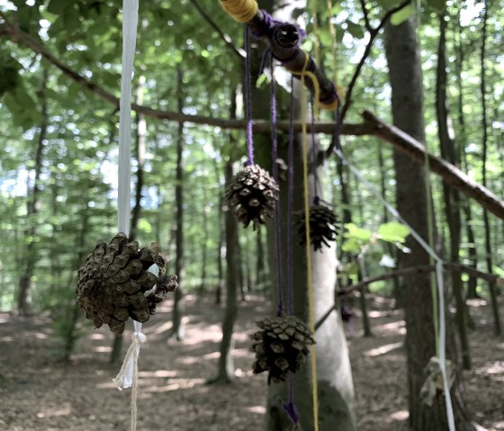 Waldspielgrupp, © JacQui Khonnguluam